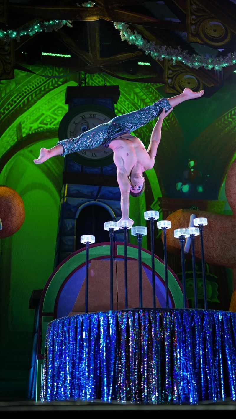 Photos: Cirque Dreams Holidaze Comes To Greensboro With A Reimagined Holiday Spectacular — photo 20 of 40