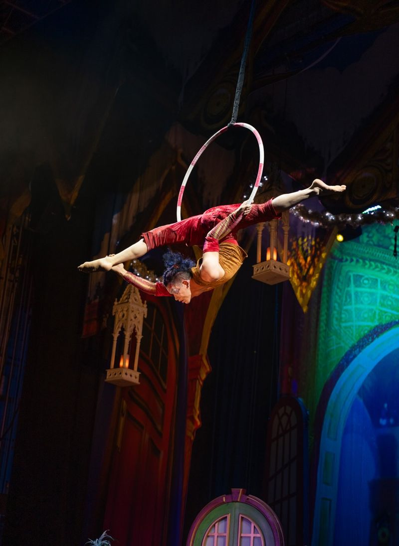 Photos: Cirque Dreams Holidaze Comes To Greensboro With A Reimagined Holiday Spectacular — photo 37 of 40