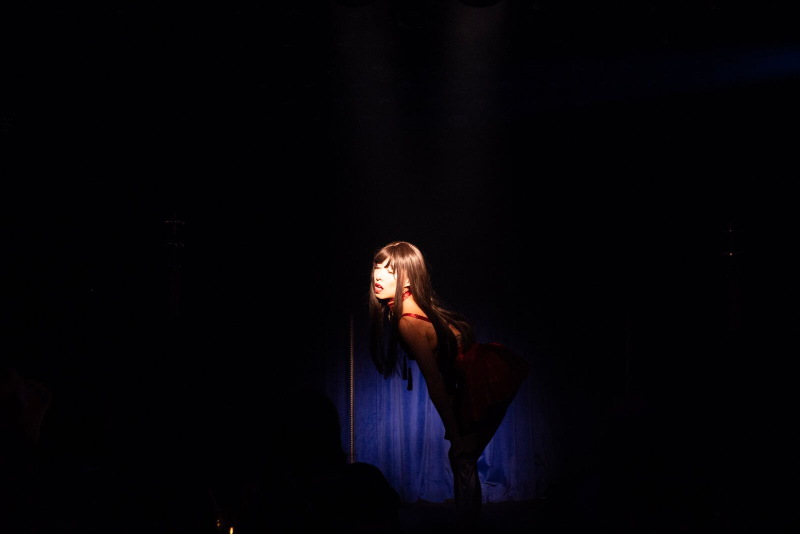 Photos: Highlights from NERDLESQUE - ANIME AFTER DARK at the Beechman Theatre — photo 16 of 20