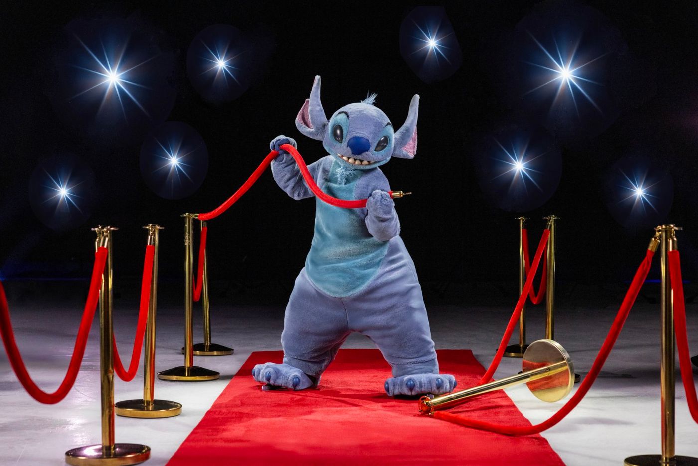 Photos: DISNEY ON ICE: SPOTLIGHT MAGIC! to Skate Into Sunrise's Amerant Bank Arena Image