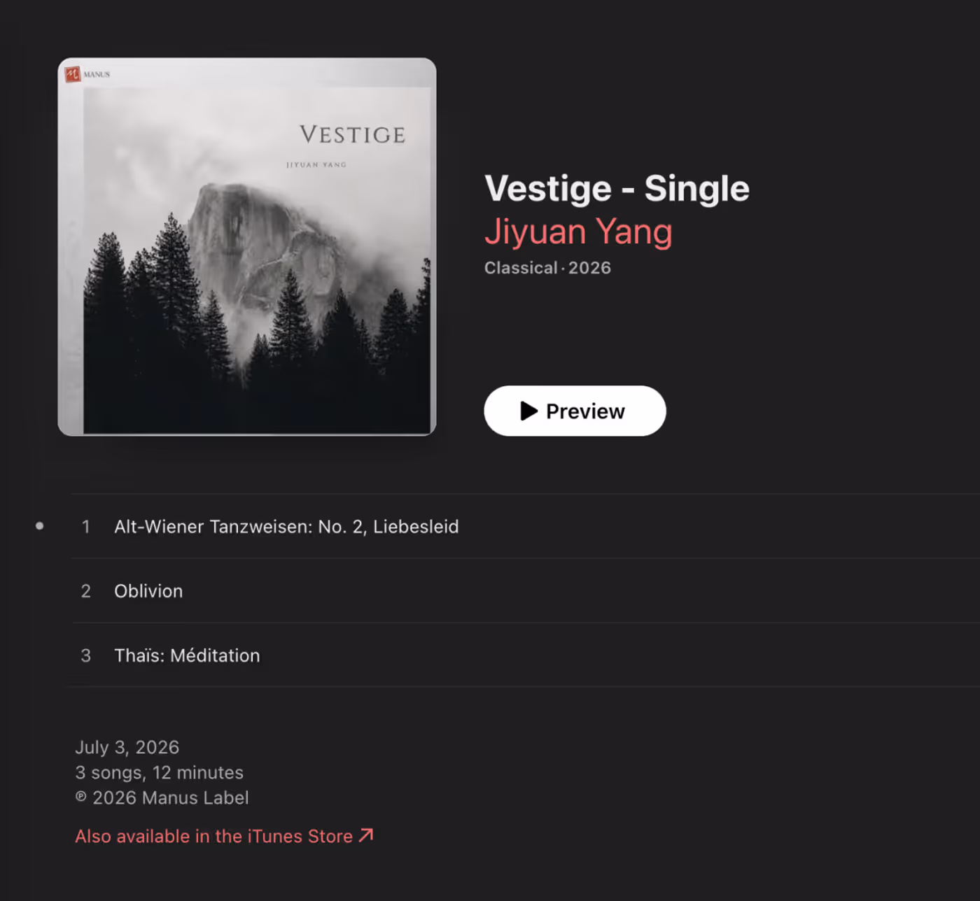 Violinist Jiyuan Yang Explores Memory, Sound and Storytelling in Vestige Image