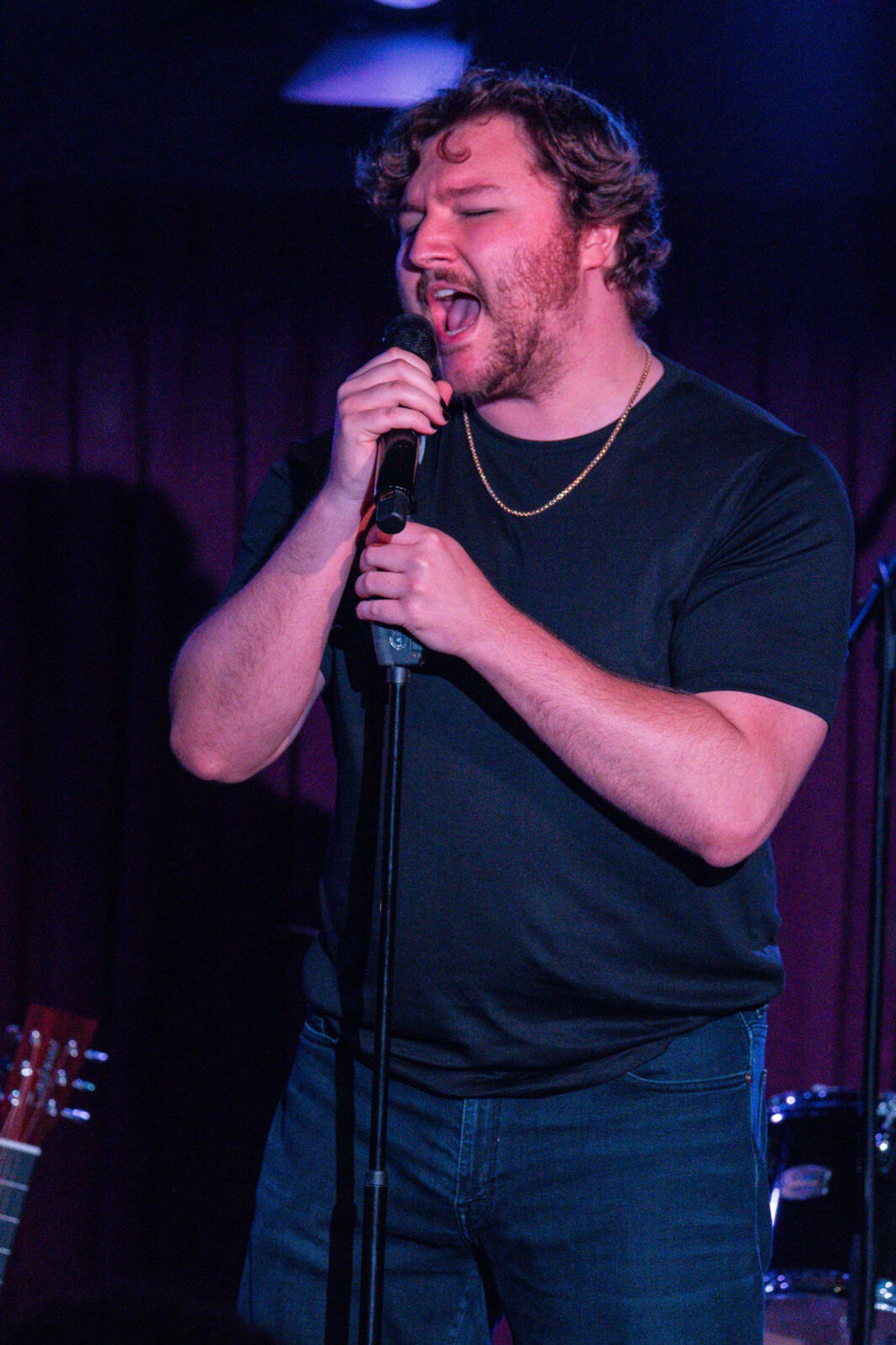 Photos: See highlights from PUNK GOES BROADWAY at the Green Room 42 Image