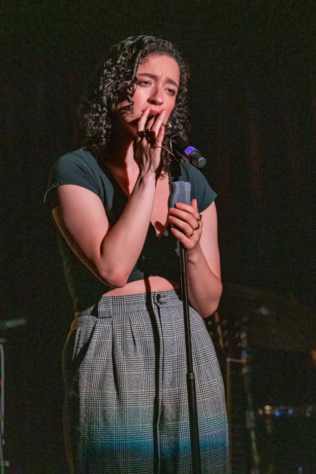 Photos: See highlights from PUNK GOES BROADWAY at the Green Room 42 — photo 36 of 97