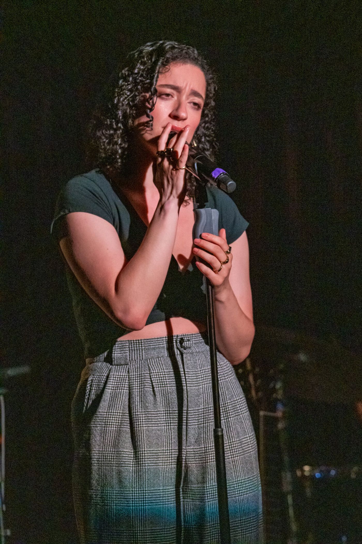Photos: See highlights from PUNK GOES BROADWAY at the Green Room 42 Image