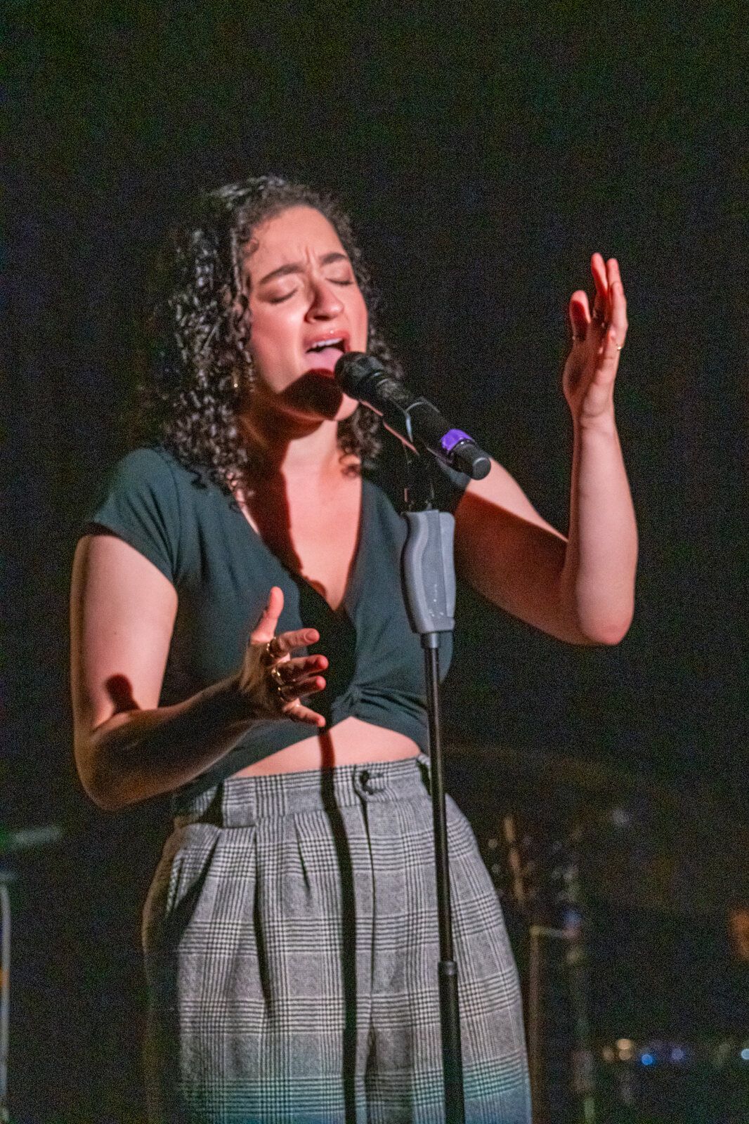 Photos: See highlights from PUNK GOES BROADWAY at the Green Room 42 — photo 37 of 97