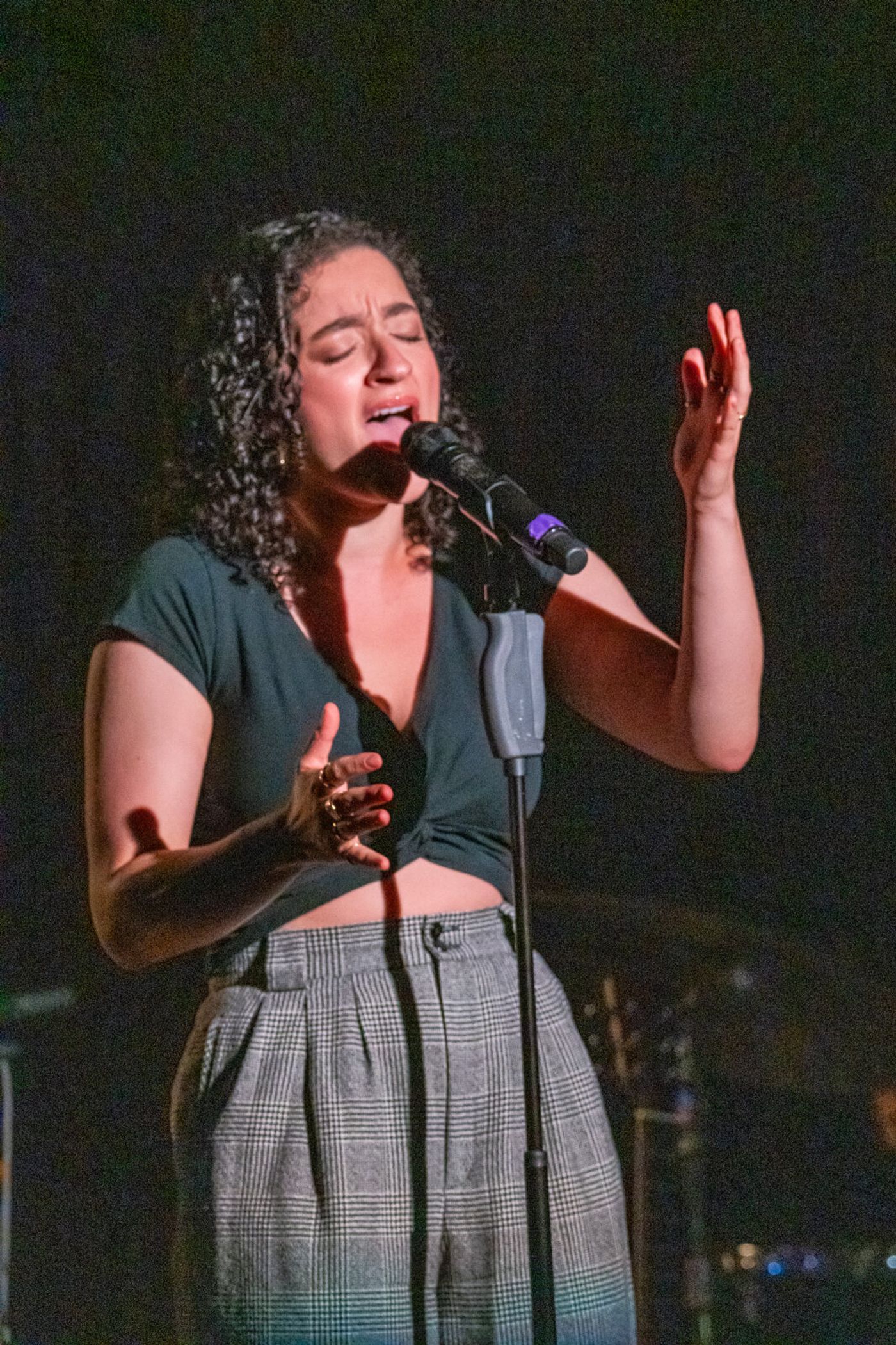 Photos: See highlights from PUNK GOES BROADWAY at the Green Room 42 Image