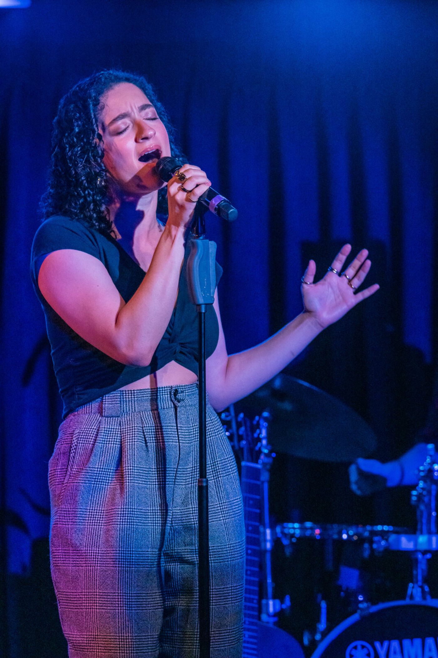 Photos: See highlights from PUNK GOES BROADWAY at the Green Room 42 Image
