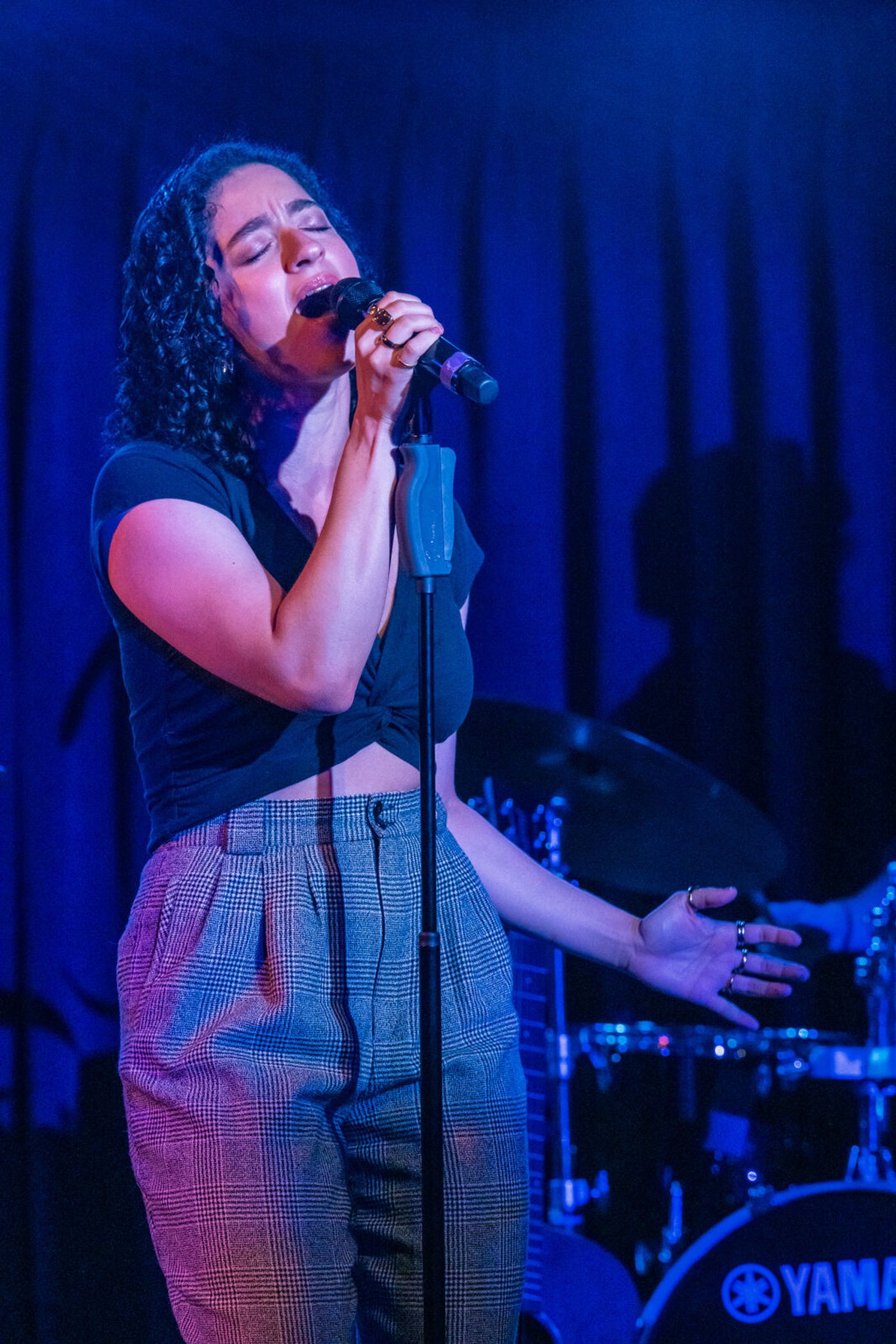 Photos: See highlights from PUNK GOES BROADWAY at the Green Room 42 Image