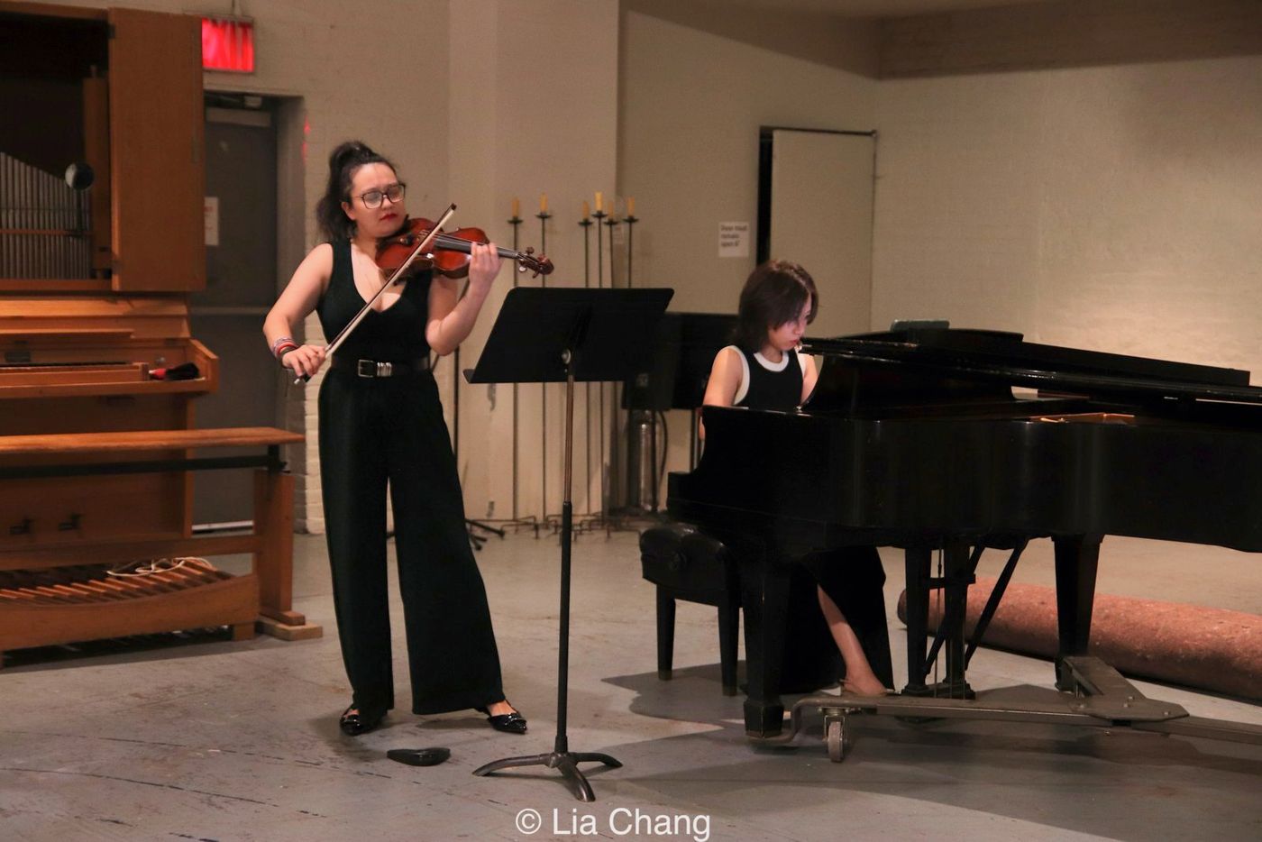 Photos: ALMOST QUINTET TRIO Performs Born Free By Dr. Edward W. Hardy In New York City Image