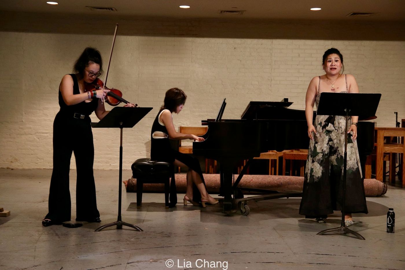Photos: ALMOST QUINTET TRIO Performs Born Free By Dr. Edward W. Hardy In New York City Image