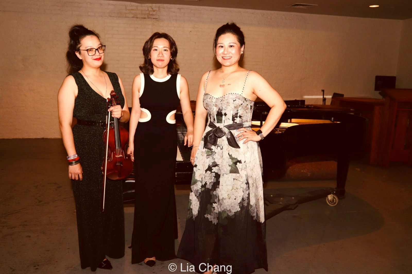 Photos: ALMOST QUINTET TRIO Performs Born Free By Dr. Edward W. Hardy In New York City — photo 25 of 27