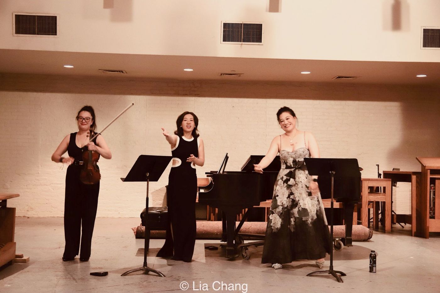 Photos: ALMOST QUINTET TRIO Performs Born Free By Dr. Edward W. Hardy In New York City Image