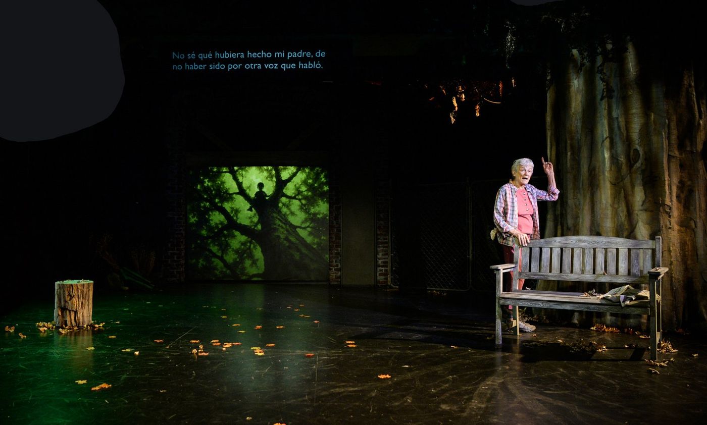 Photos: WINTER'S BENCH at 24th Street Theatre Image