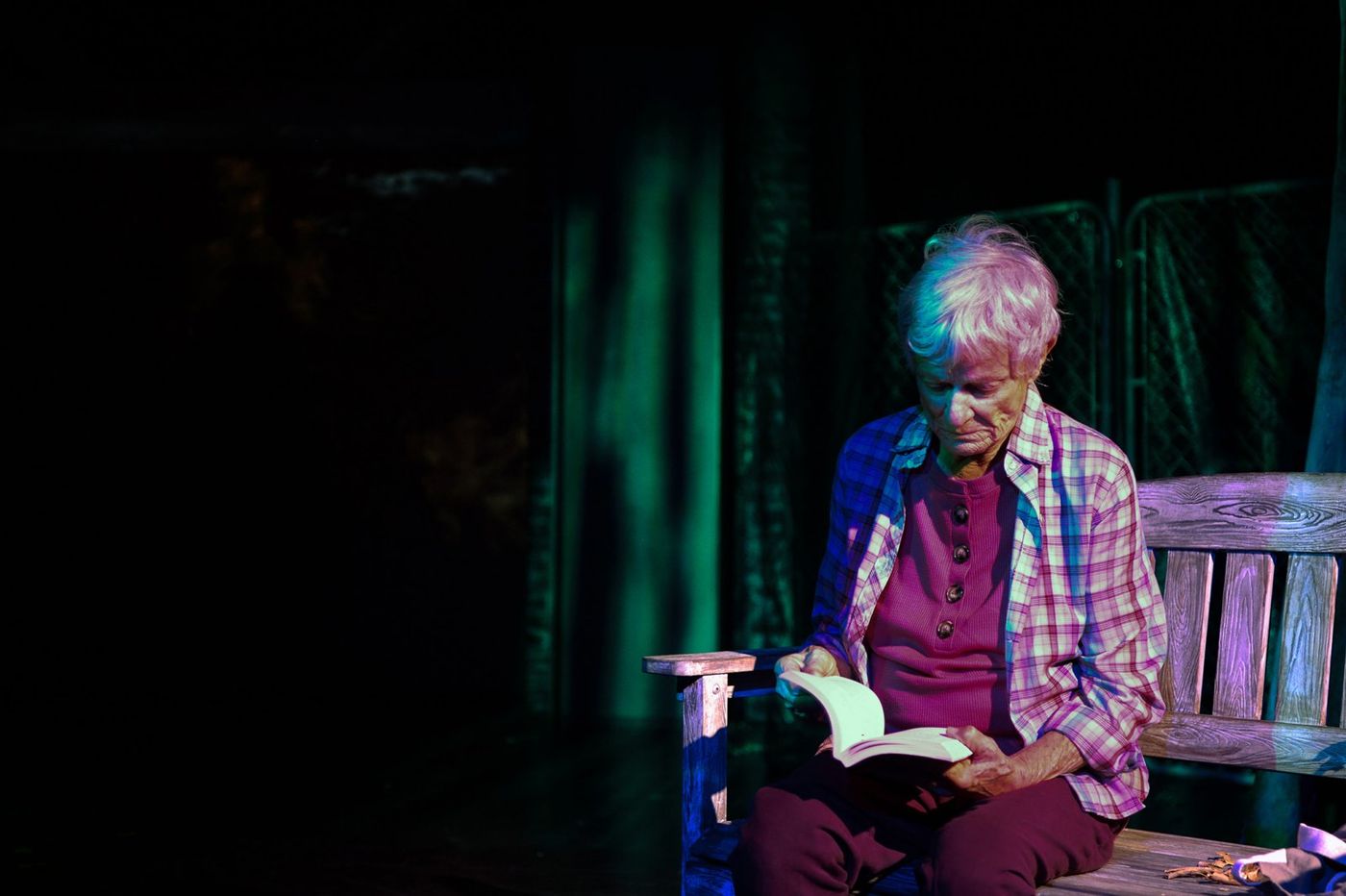Photos: WINTER'S BENCH at 24th Street Theatre Image