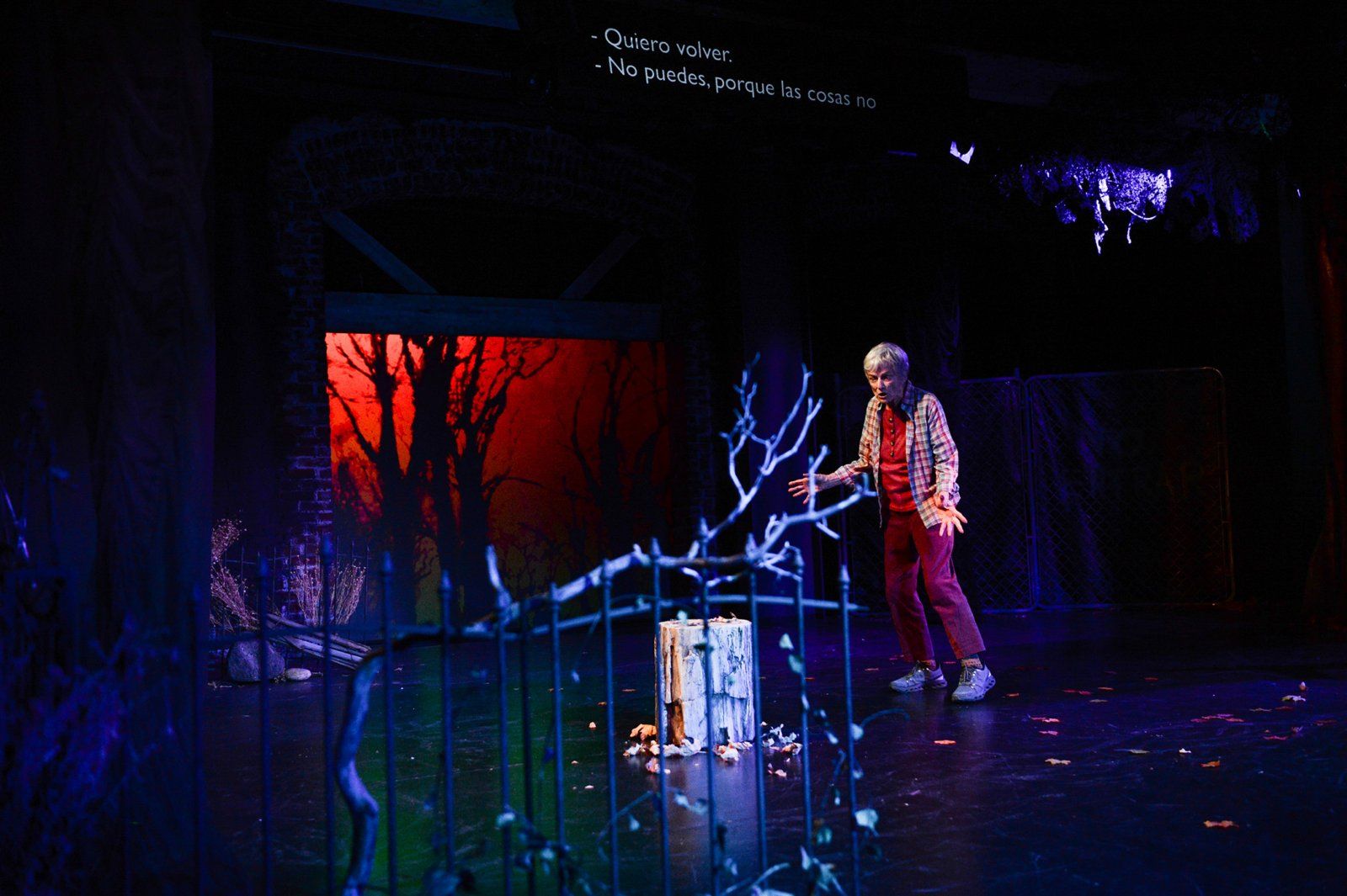 Photos: WINTER'S BENCH at 24th Street Theatre — photo 9 of 14