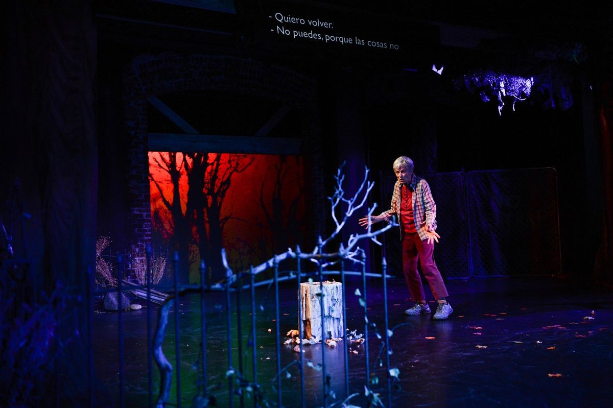 Anne Gee Byrd  Photo by Cooper Bates at Photos: WINTER'S BENCH at 24th Street Theatre