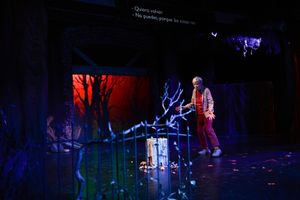 Anne Gee Byrd Photo by Cooper Bates @ BroadwayWorld Anne Gee Byrd Photo by Cooper Bates Photo