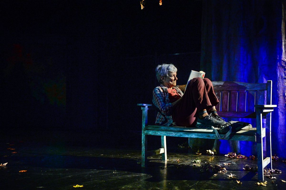 Anne Gee Byrd  Photo by Cooper Bates at Photos: WINTER'S BENCH at 24th Street Theatre