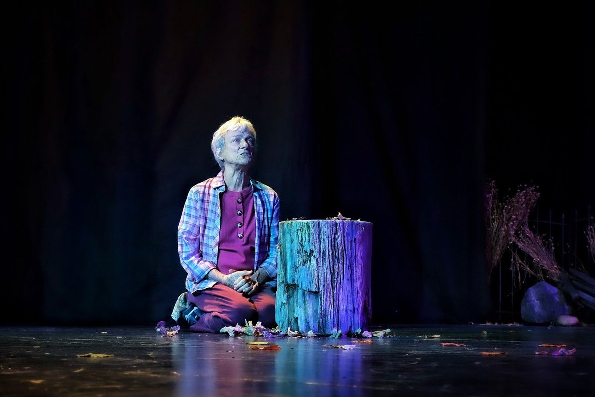 Anne Gee Byrd  Photo by Cooper Bates at Photos: WINTER'S BENCH at 24th Street Theatre