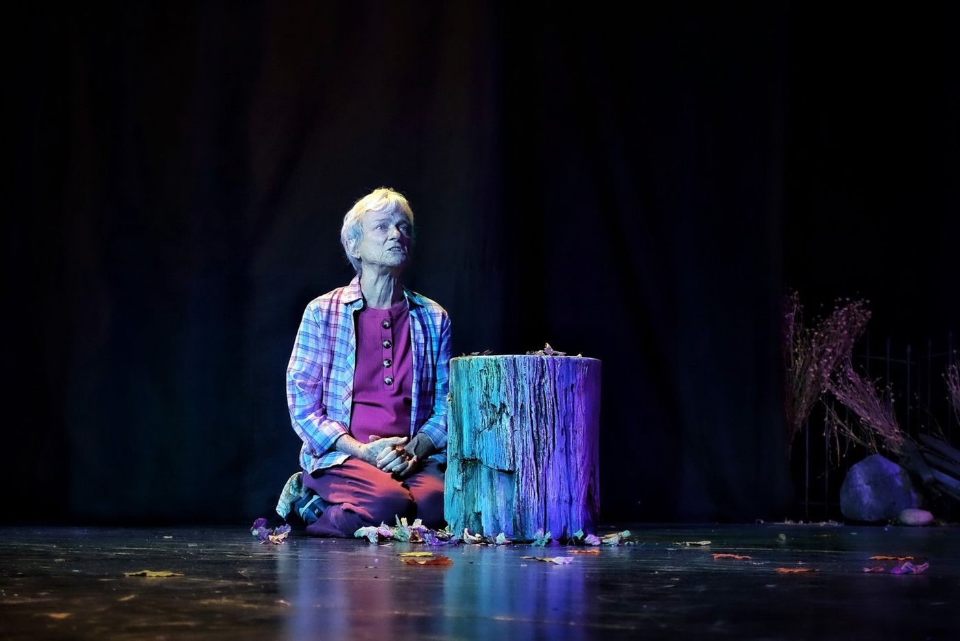 Photos: WINTER'S BENCH at 24th Street Theatre Image