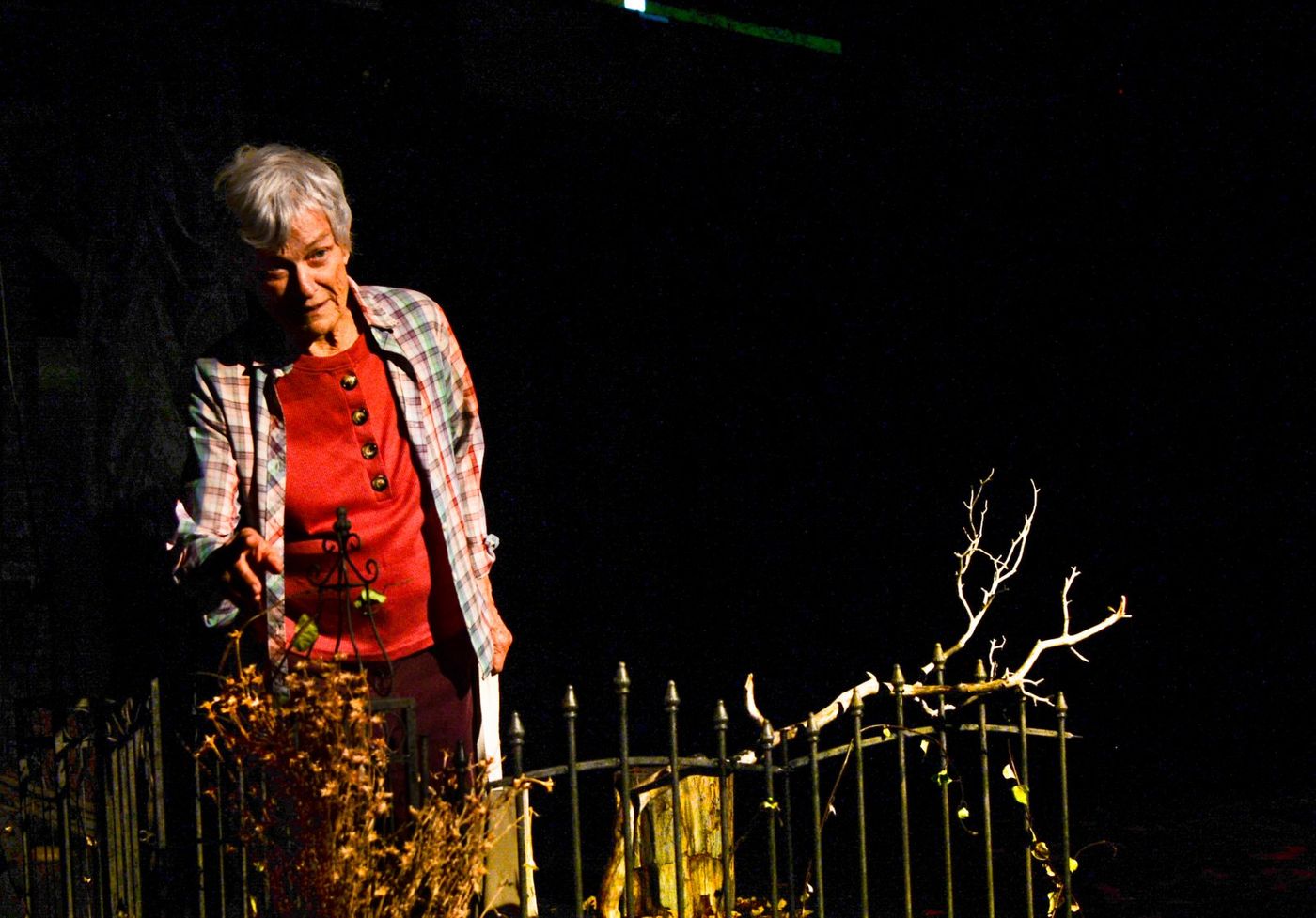 Photos: WINTER'S BENCH at 24th Street Theatre Image