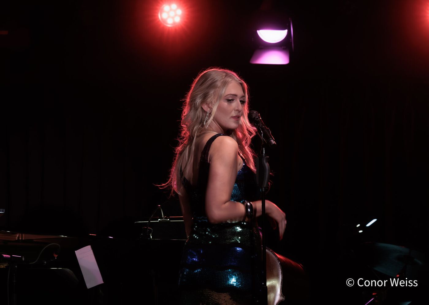 Photos: Highlights from THE LINEUP WITH SUSIE MOSHER August 25 at the Green Room 42 Image