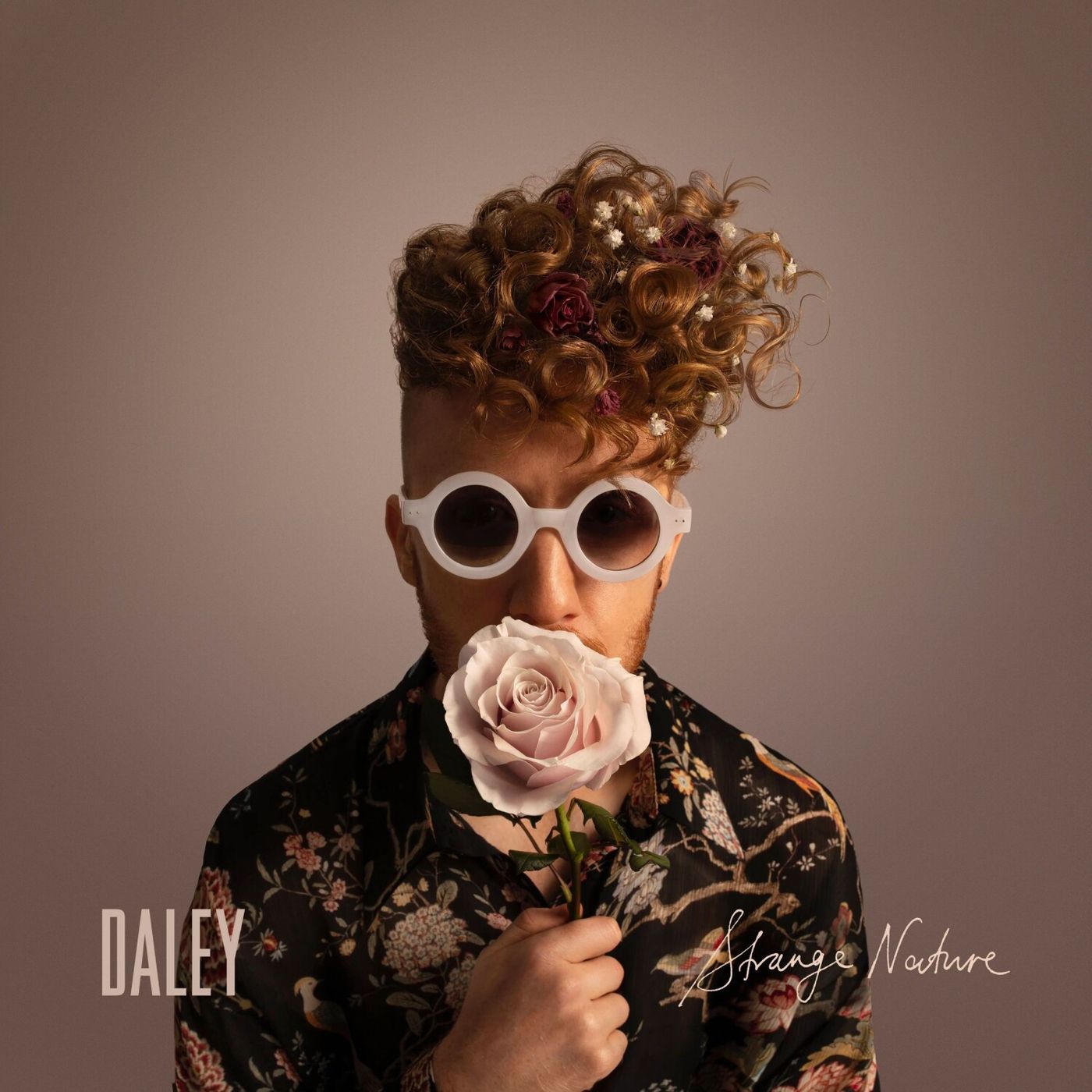 Photos: Daley to Release STRANGE NATURE Album Sept. 18, Launch 27-City US Tour Sept. 16 Image