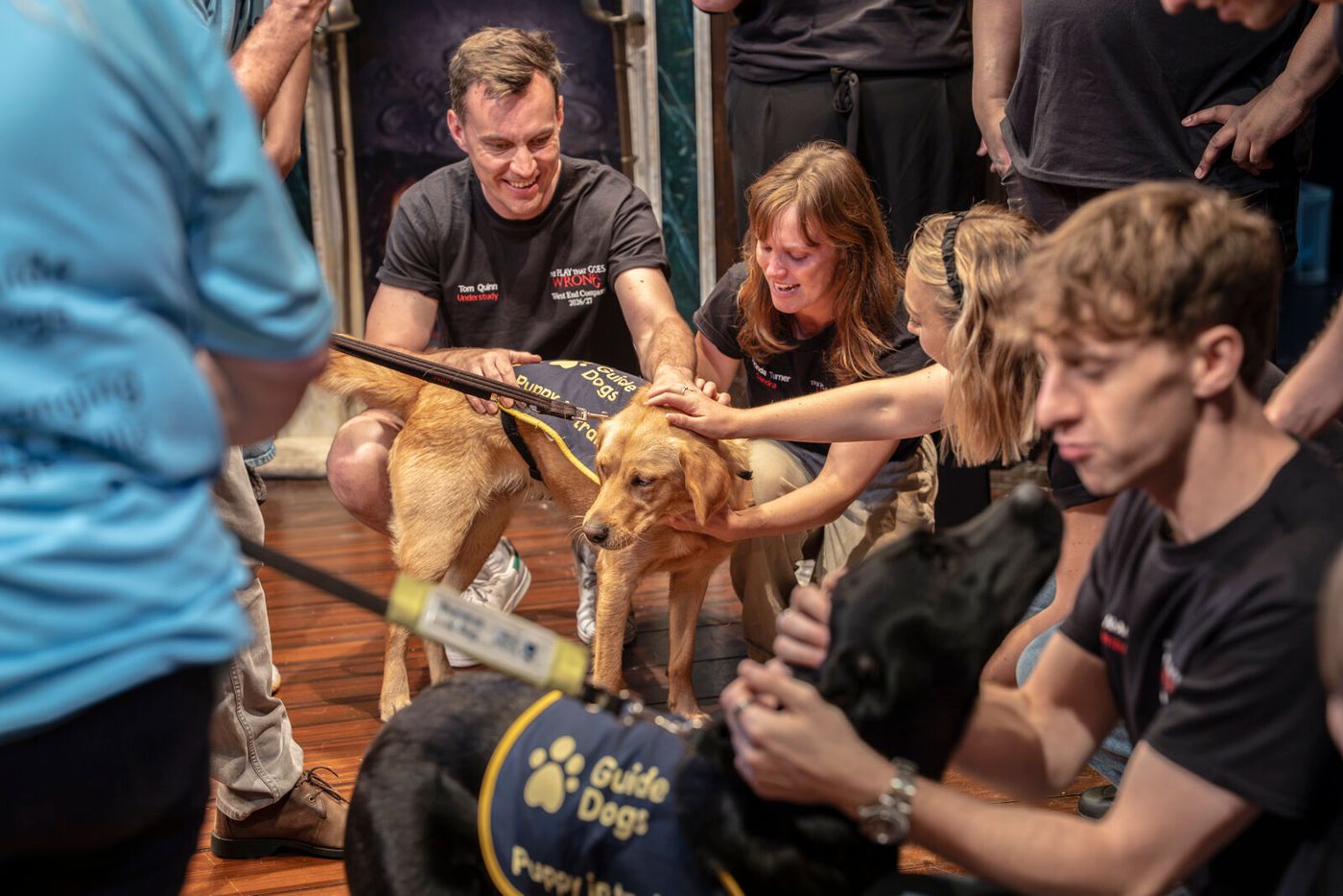 Photos: THE PLAY THAT GOES WRONG Cast Hosts Guide Dogs UK Puppies at Duchess Theatre Image