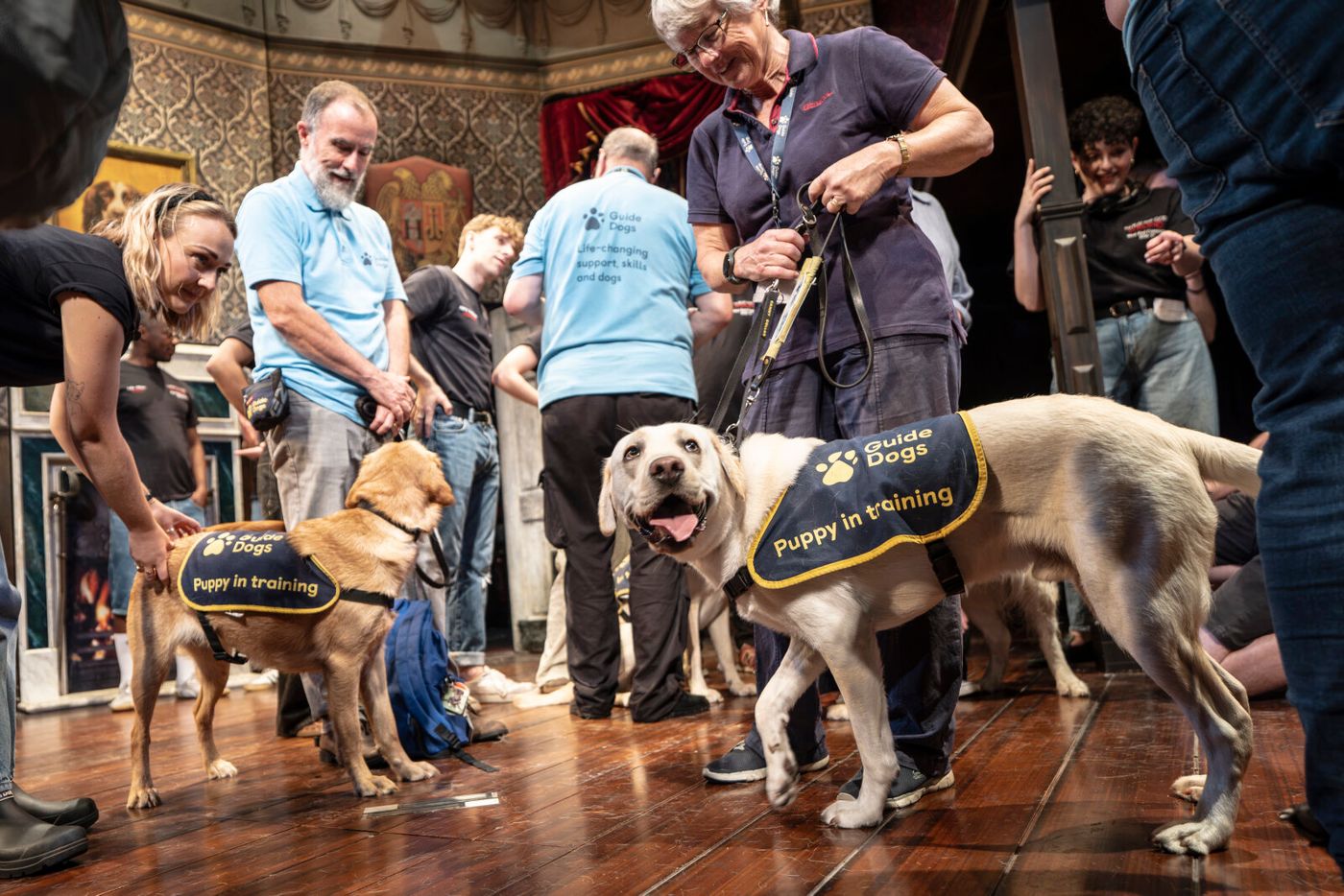 Photos: THE PLAY THAT GOES WRONG Cast Hosts Guide Dogs UK Puppies at Duchess Theatre Image