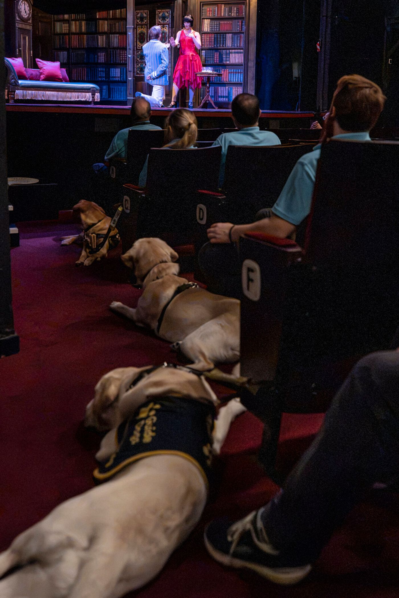 Photos: THE PLAY THAT GOES WRONG Cast Hosts Guide Dogs UK Puppies at Duchess Theatre Image