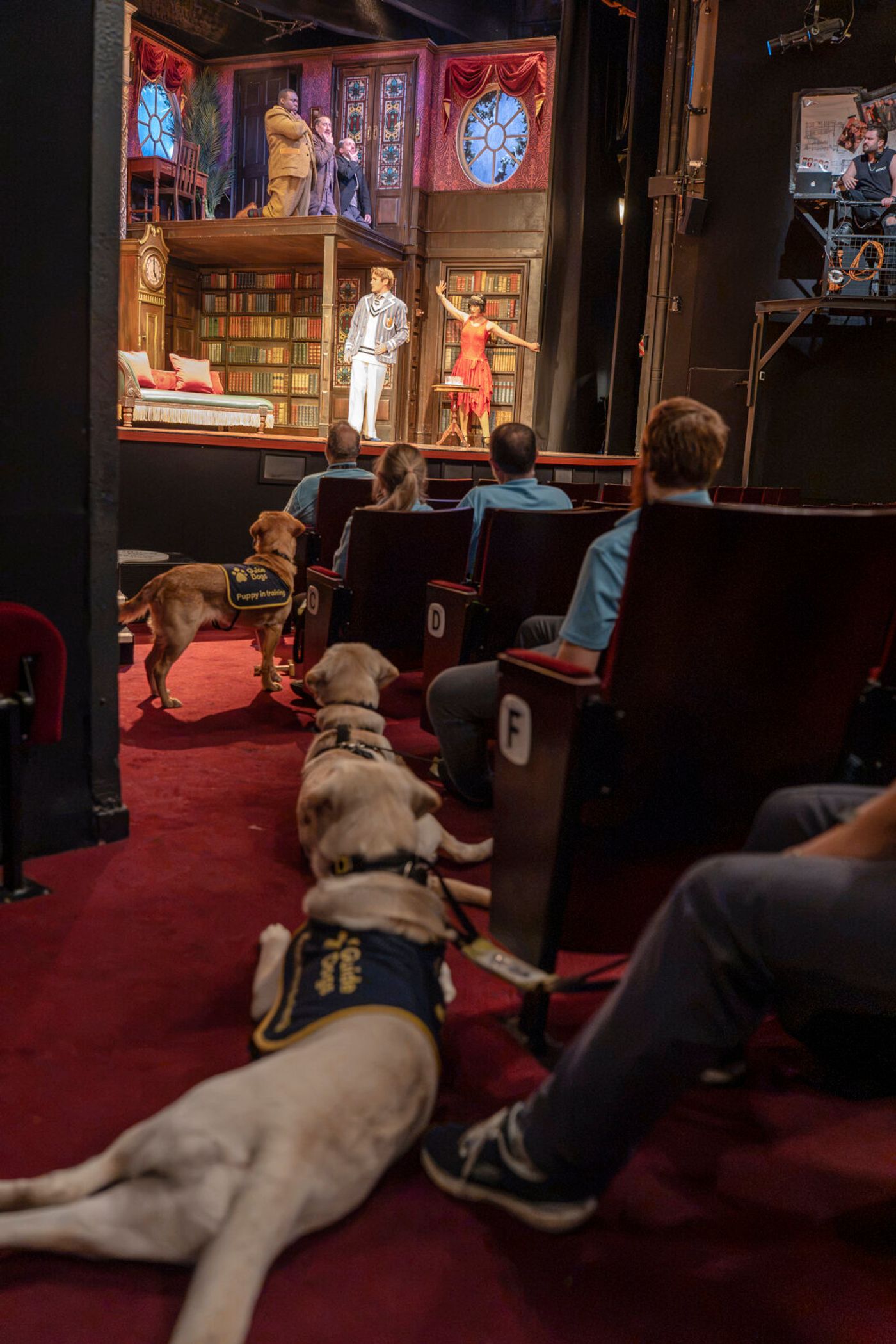 Photos: THE PLAY THAT GOES WRONG Cast Hosts Guide Dogs UK Puppies at Duchess Theatre Image