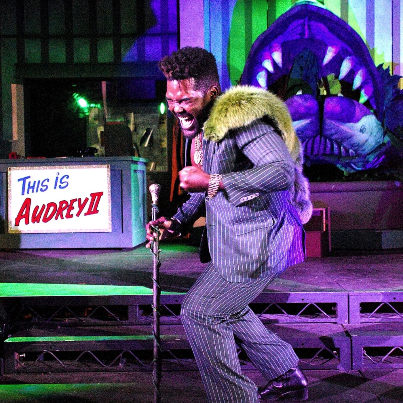 Photos: LITTLE SHOP OF HORRORS at Altadena Music Theatre Image