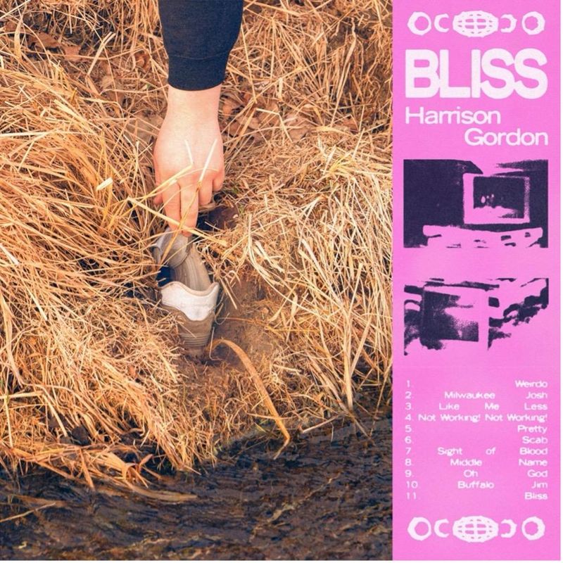 Photos: Harrison Gordon Releases Sophomore Album BLISS Via Hopeless Records — photo 1 of 12