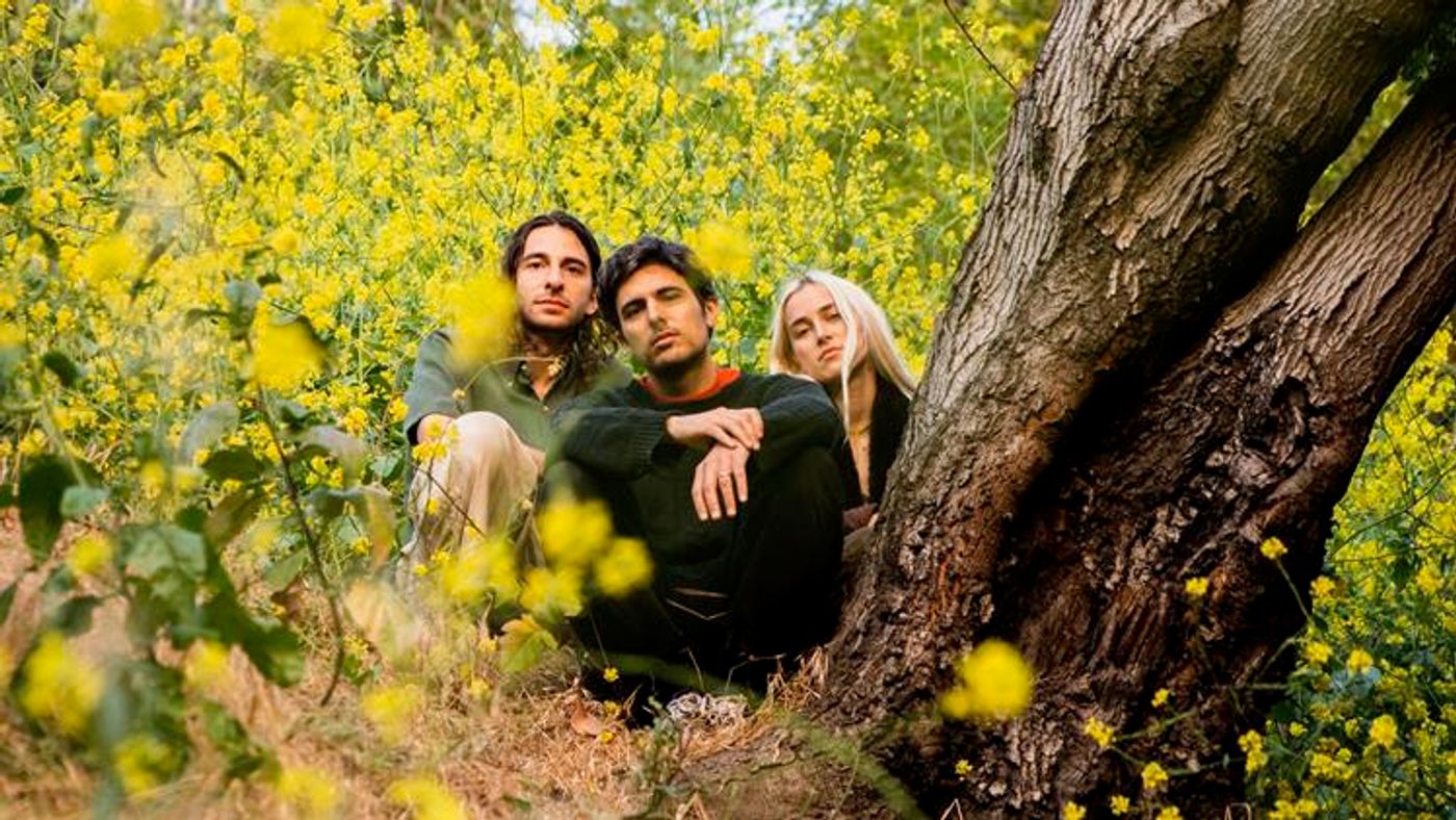 Photos: FRANKIE ROSE to Tour North America With THE CHARLATANS UK This Fall Image