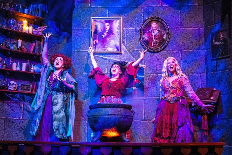 Review: HOCUS POCUSED at The Gaslight Theatre Image