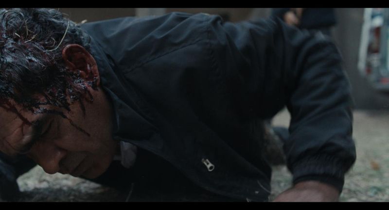 Photos: THE REBORN to Make North American Premiere on IndiePix Unlimited — photo 7 of 10