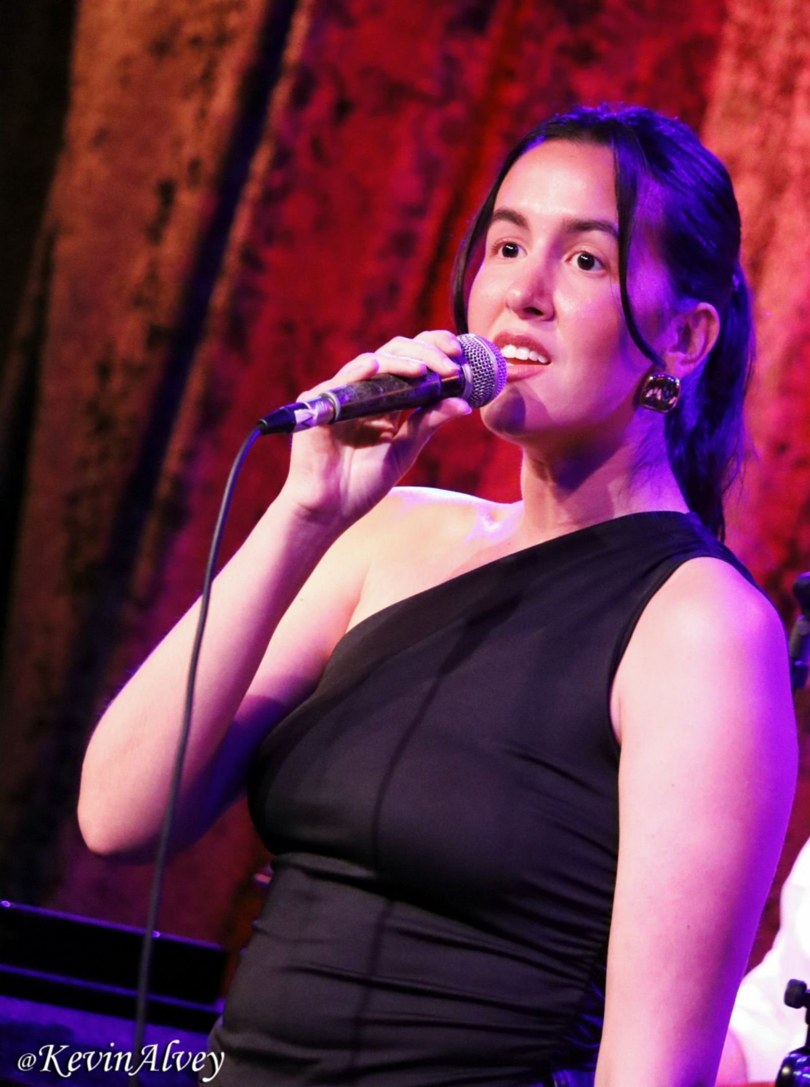 Photos: OPERATION MINCEMEAT Co-Creator Felix Hagan In Concert At Birdland — photo 30 of 36