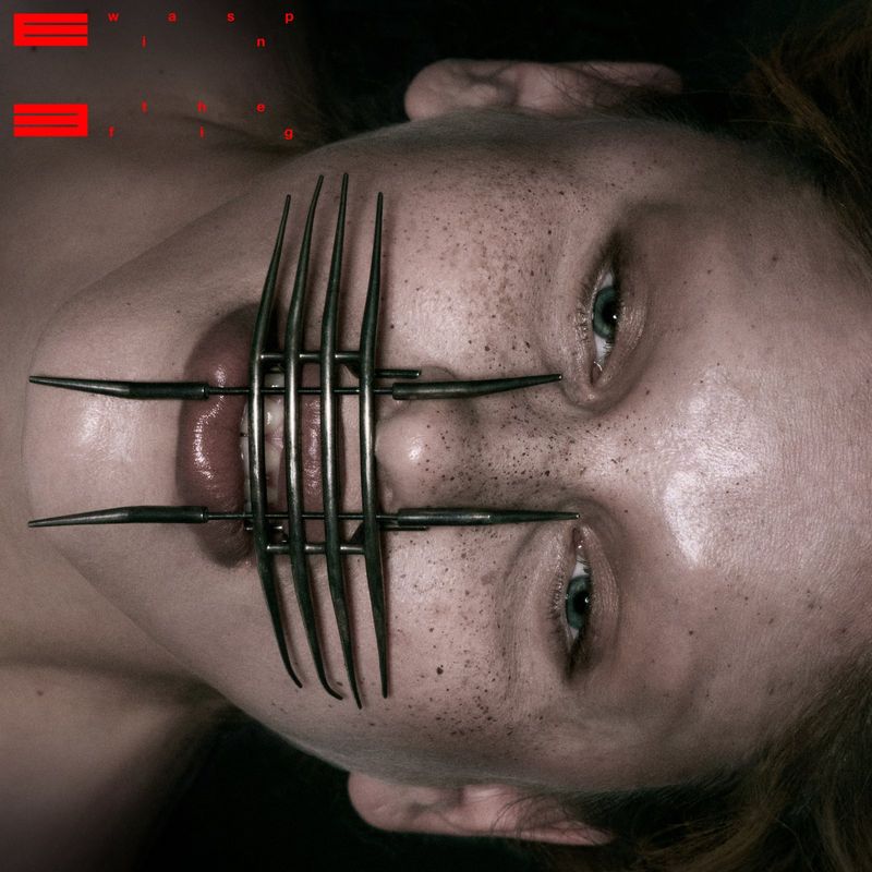 Photos: EARTHEATER Shares Music Video for 'Wasp in the Fig' — photo 2 of 5