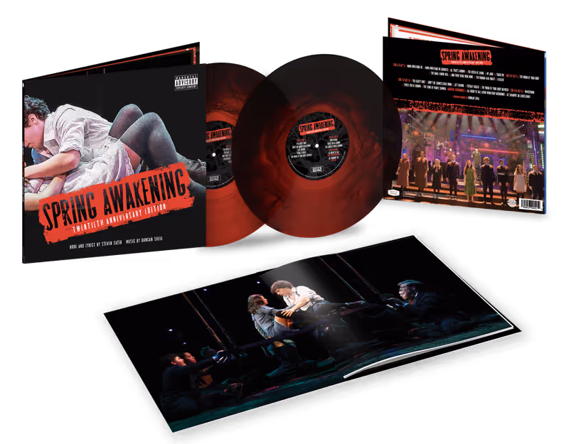 Exclusive: SPRING AWAKENING Cut Songs, Including ‘Haunting’ Duet With Gavin Creel, Explained Image