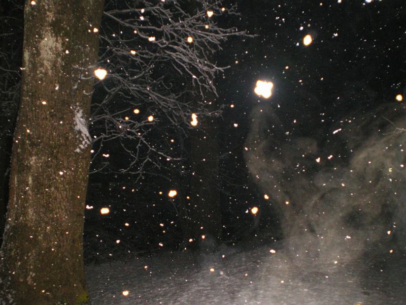 Photos: INTERLAY Announces SNOW COVERS YOUR INSIDES EP — photo 3 of 5