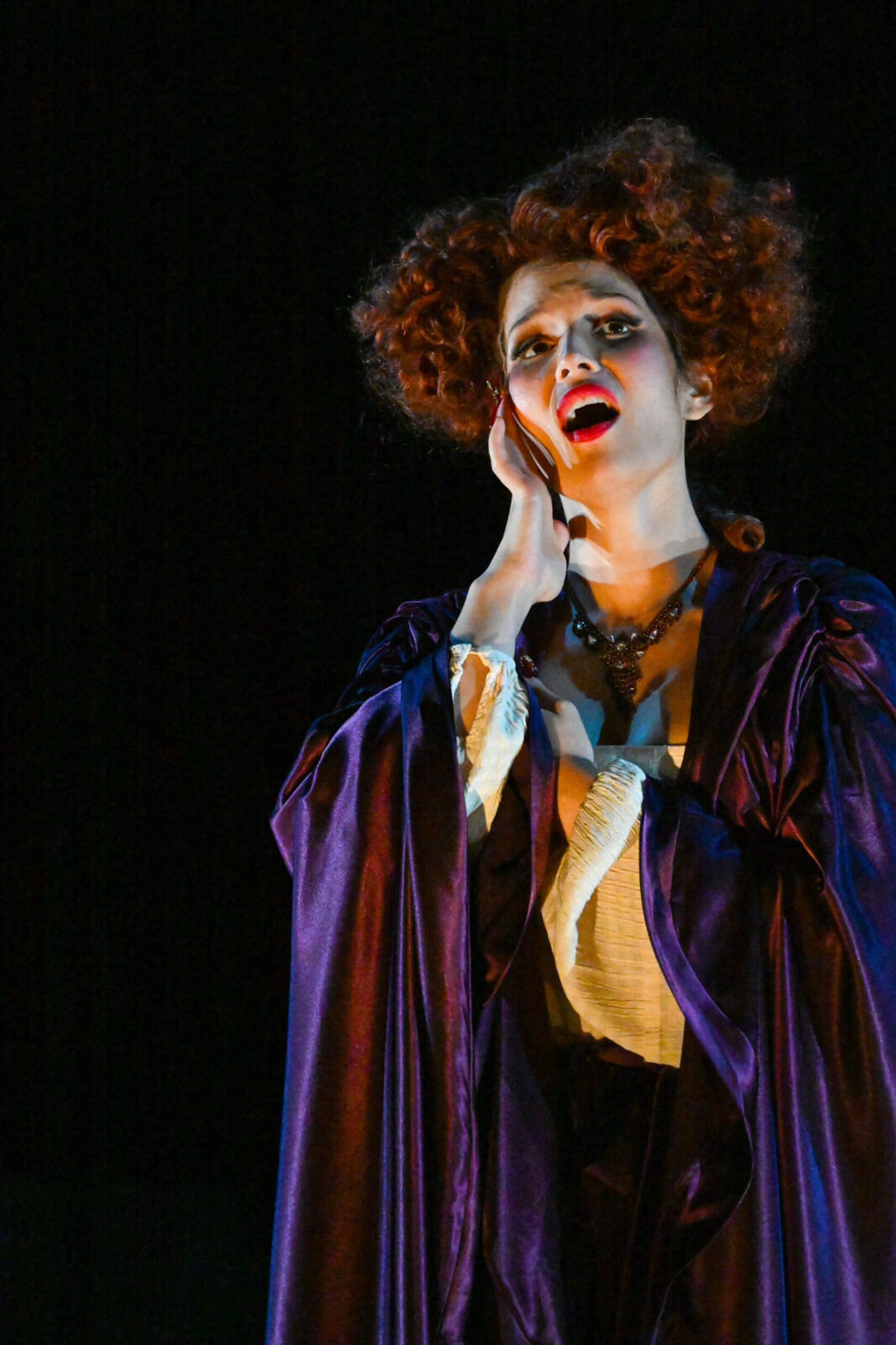 Photos: DON GIOVANNI Opens Opera San José's 43rd Season — photo 3 of 24