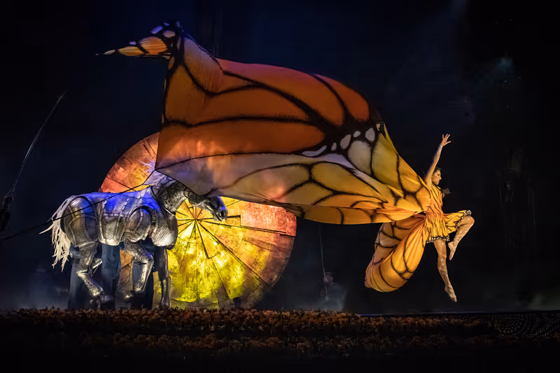 Luzia Genève 2022 Anne Colliard