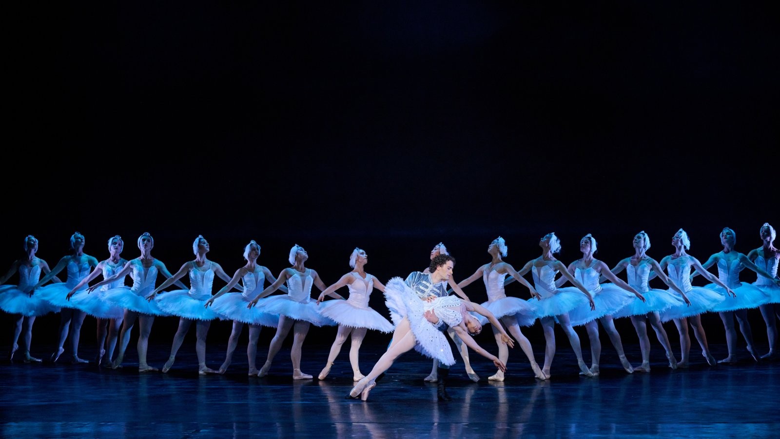 Photos: Swan Lake to Open at Artscape Following Johannesburg Success — photo 1 of 3