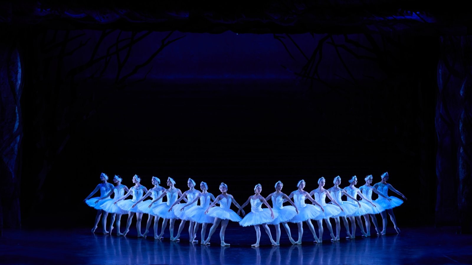 Photos: Swan Lake to Open at Artscape Following Johannesburg Success — photo 2 of 3