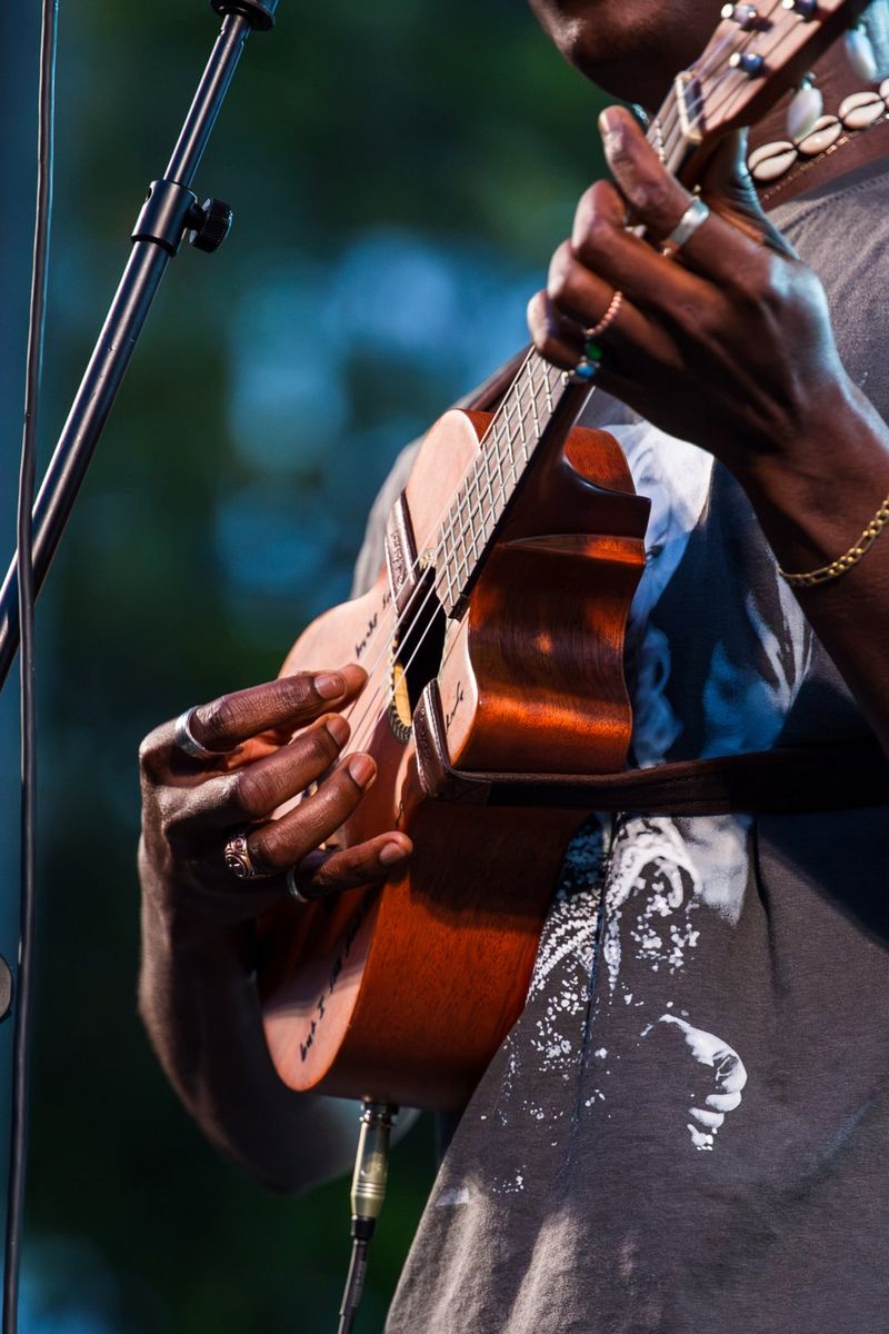 Photos: BRISTOL RHYTHM & ROOTS REUNION Marks 25th Anniversary — photo 33 of 39