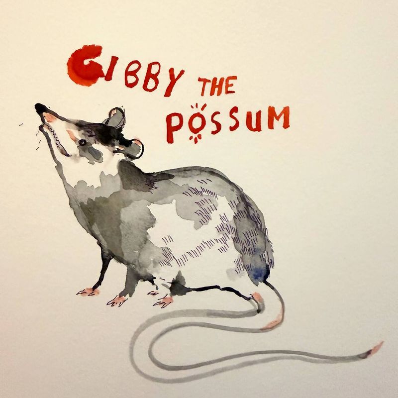 Photos: Mike Dillon Shares 'Gibby Plays Possum' Single — photo 2 of 4