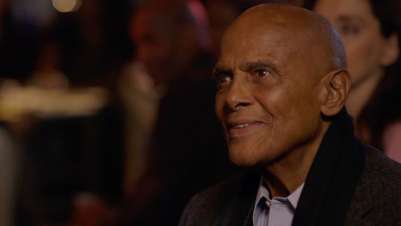 Photos: FOLLOWING HARRY Documentary to Arrive on TVOD Platforms — photo 1 of 11