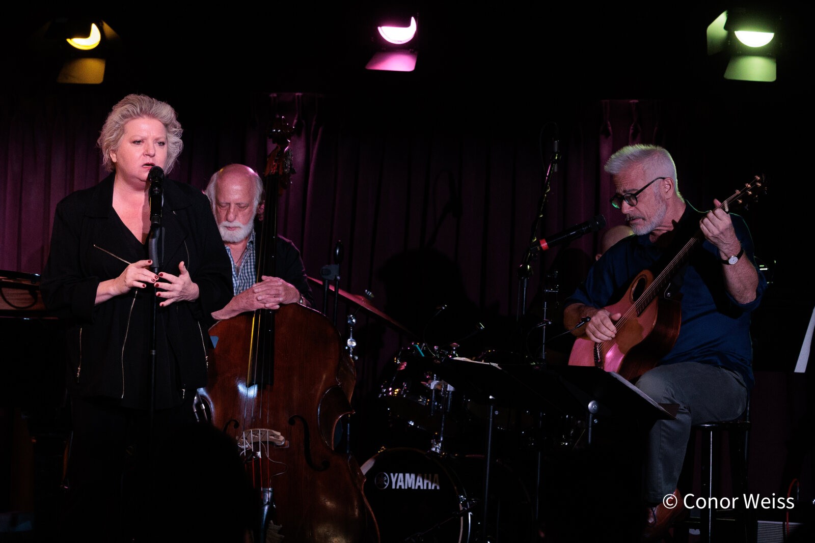 Photos: The Lineup with Susie Mosher - September 8, 2026 at the Green Room 42 — photo 7 of 25