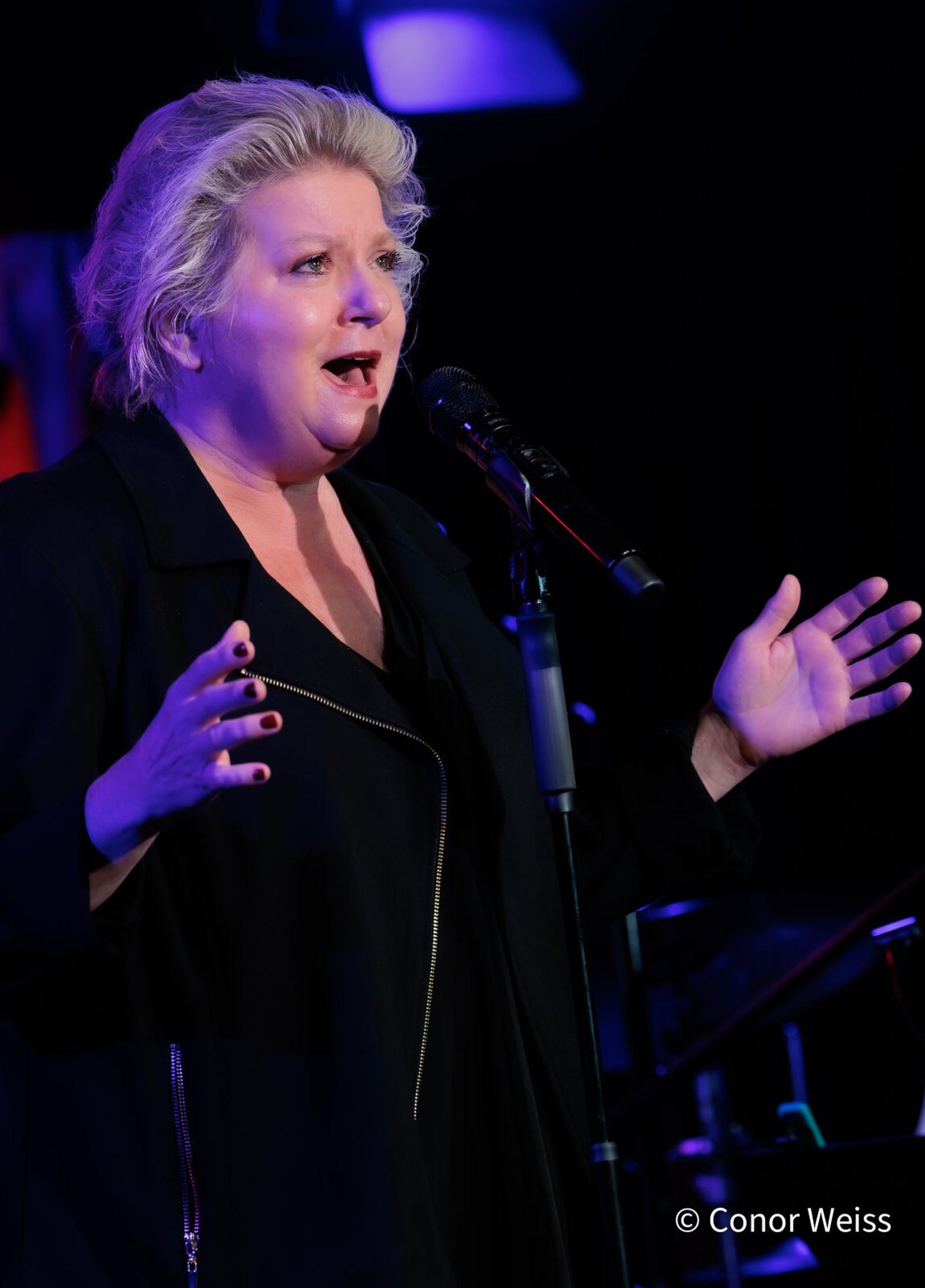 Photos: The Lineup with Susie Mosher - September 8, 2026 at the Green Room 42 — photo 9 of 25