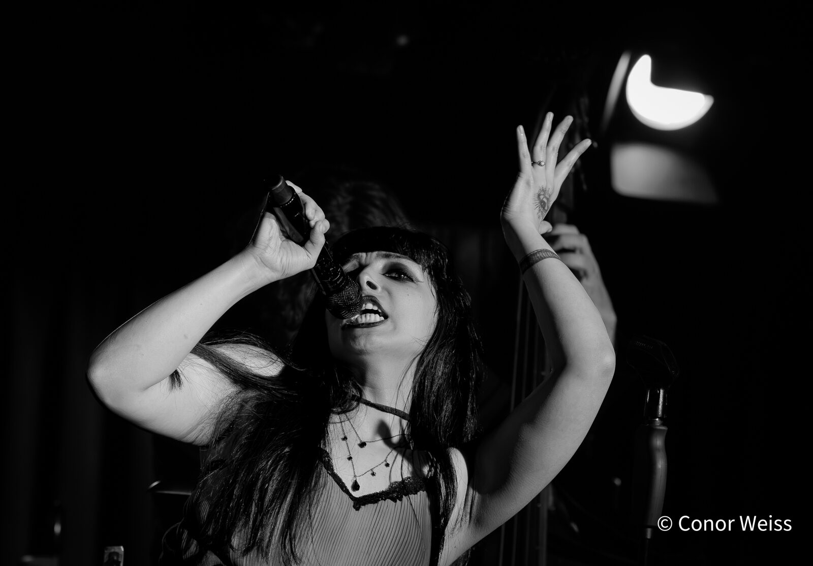Photos: The Lineup with Susie Mosher - September 8, 2026 at the Green Room 42 — photo 13 of 25